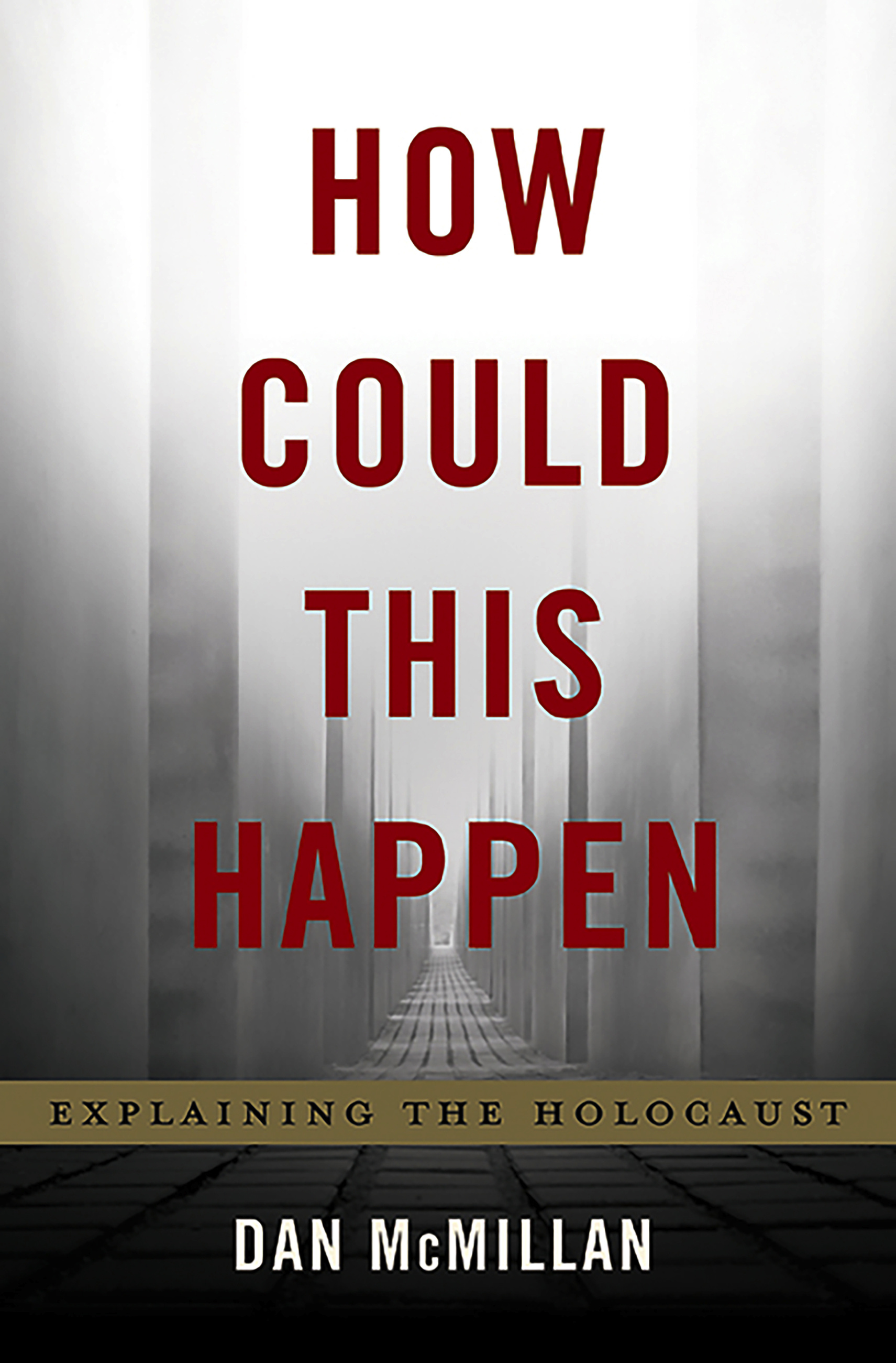 How Could This Happen by Dan McMillan | Basic Books