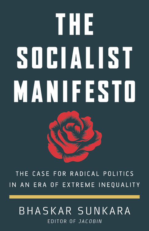 Image result for Manifesto of American Socialism